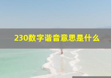 230数字谐音意思是什么