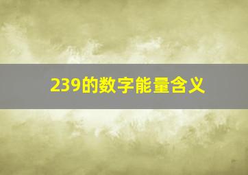 239的数字能量含义