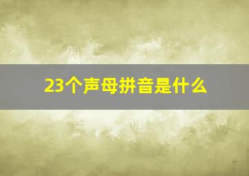 23个声母拼音是什么