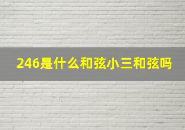 246是什么和弦小三和弦吗