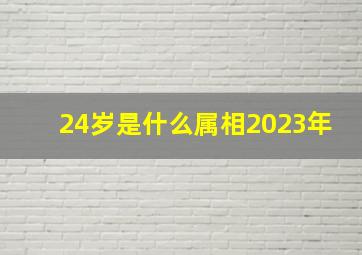 24岁是什么属相2023年