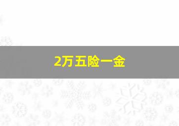 2万五险一金