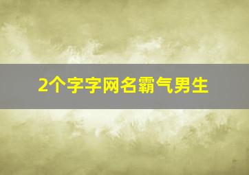 2个字字网名霸气男生