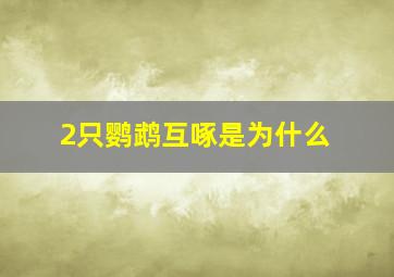 2只鹦鹉互啄是为什么