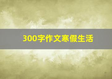 300字作文寒假生活