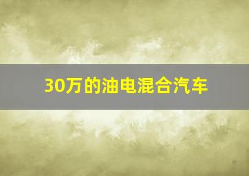 30万的油电混合汽车