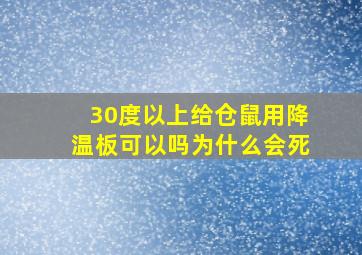 30度以上给仓鼠用降温板可以吗为什么会死