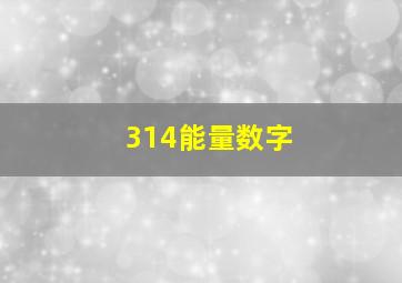 314能量数字