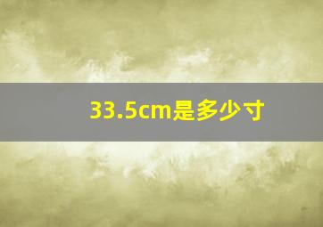 33.5cm是多少寸