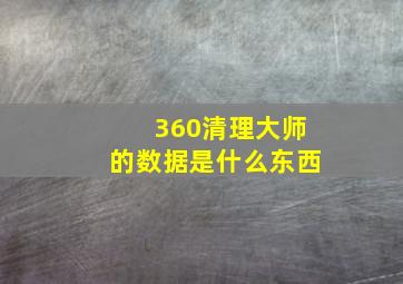 360清理大师的数据是什么东西