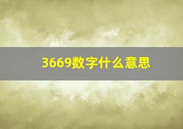 3669数字什么意思