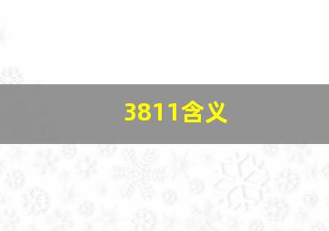 3811含义