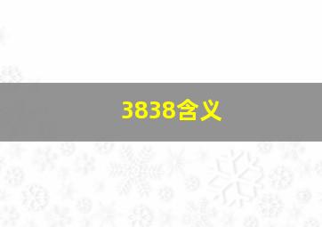 3838含义