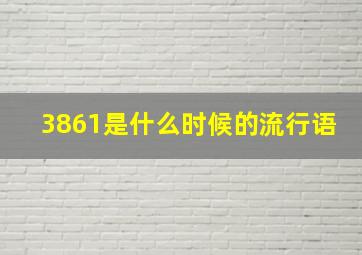 3861是什么时候的流行语