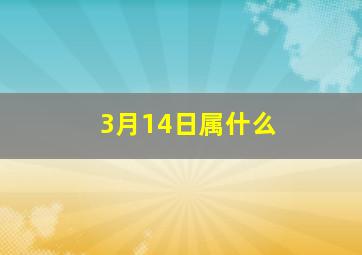 3月14日属什么