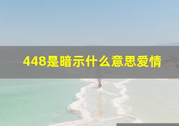 448是暗示什么意思爱情