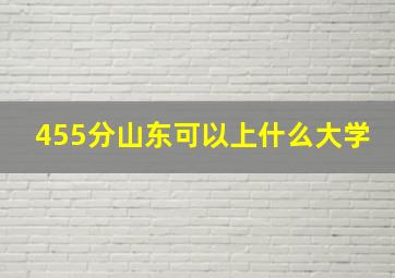 455分山东可以上什么大学