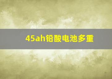 45ah铅酸电池多重