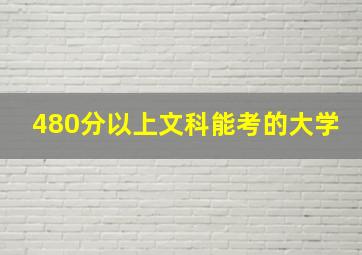 480分以上文科能考的大学