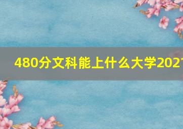 480分文科能上什么大学2021