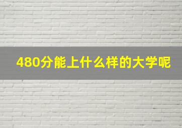 480分能上什么样的大学呢