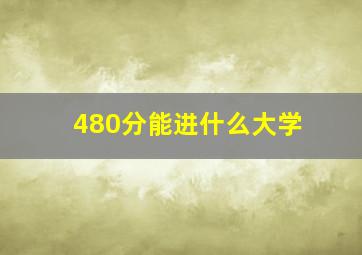 480分能进什么大学