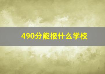 490分能报什么学校