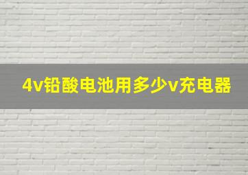 4v铅酸电池用多少v充电器