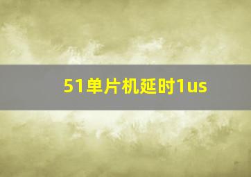 51单片机延时1us