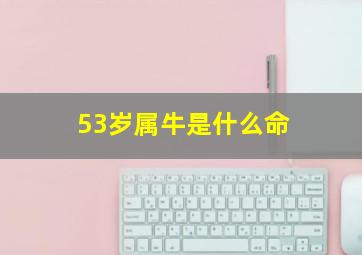 53岁属牛是什么命