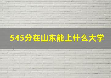 545分在山东能上什么大学