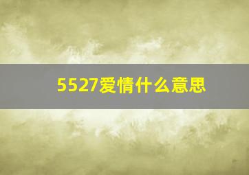 5527爱情什么意思