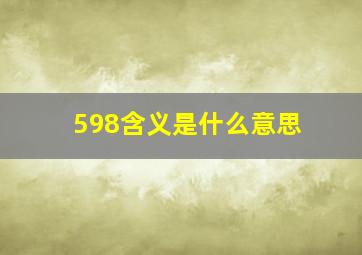 598含义是什么意思