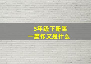 5年级下册第一篇作文是什么