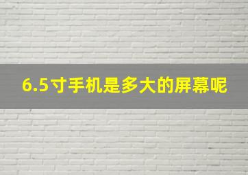 6.5寸手机是多大的屏幕呢