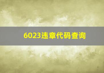 6023违章代码查询