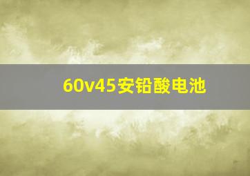 60v45安铅酸电池