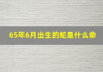 65年6月出生的蛇是什么命