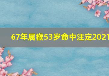 67年属猴53岁命中注定2021