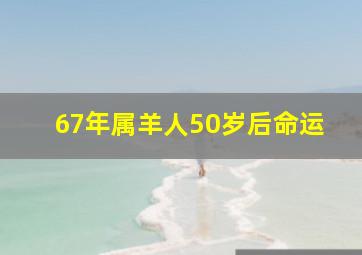 67年属羊人50岁后命运