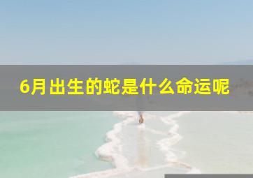 6月出生的蛇是什么命运呢