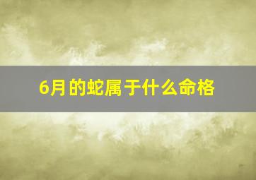 6月的蛇属于什么命格