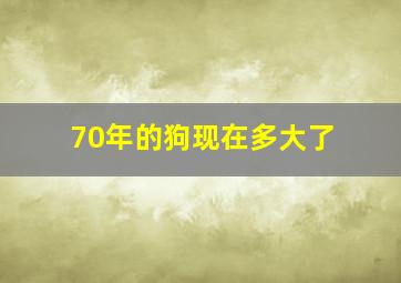 70年的狗现在多大了