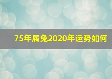 75年属兔2020年运势如何