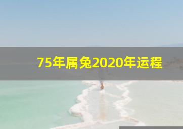 75年属兔2020年运程