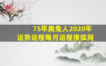 75年属兔人2020年运势运程每月运程搜狐网