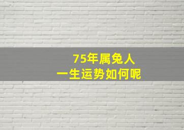 75年属兔人一生运势如何呢