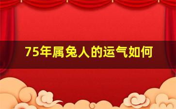 75年属兔人的运气如何