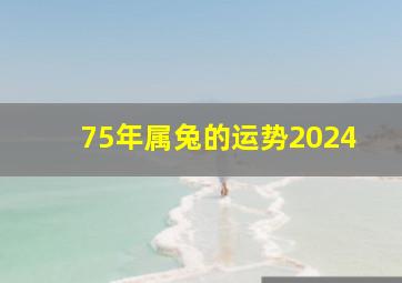 75年属兔的运势2024