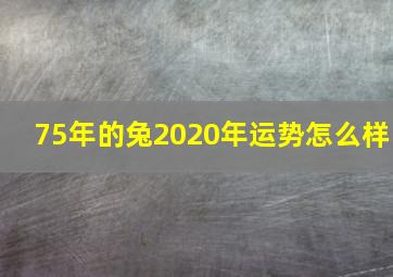 75年的兔2020年运势怎么样